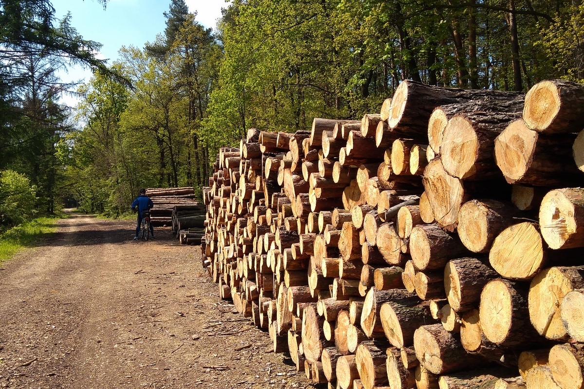 układanie planu bloga 