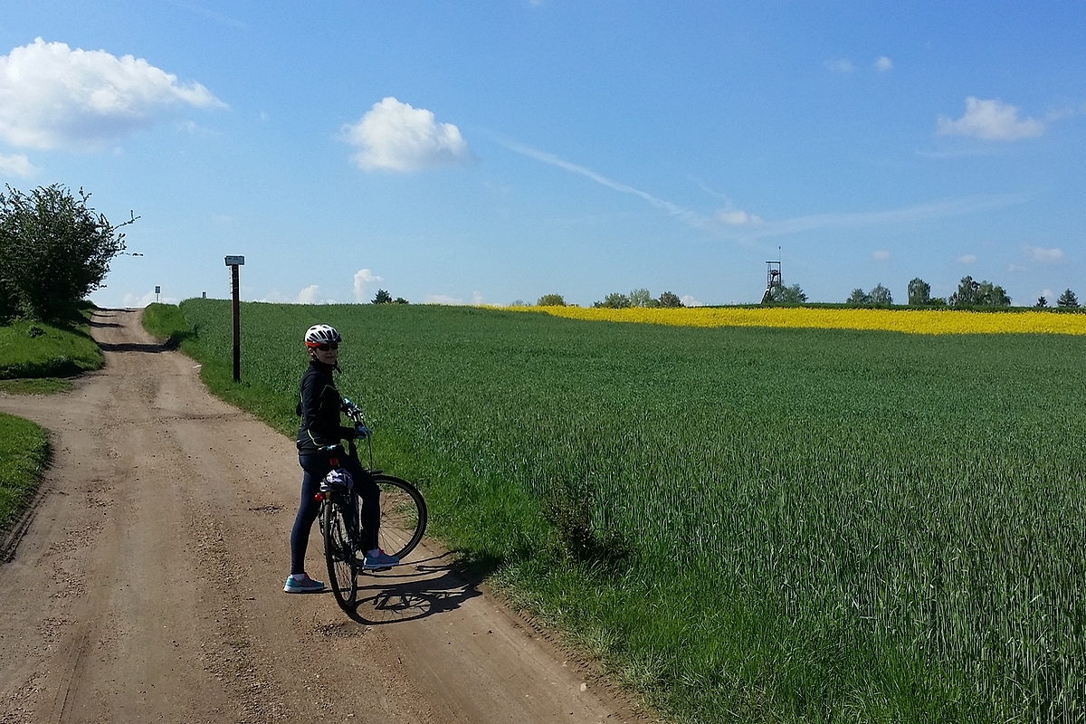 Którą drogę wybrać