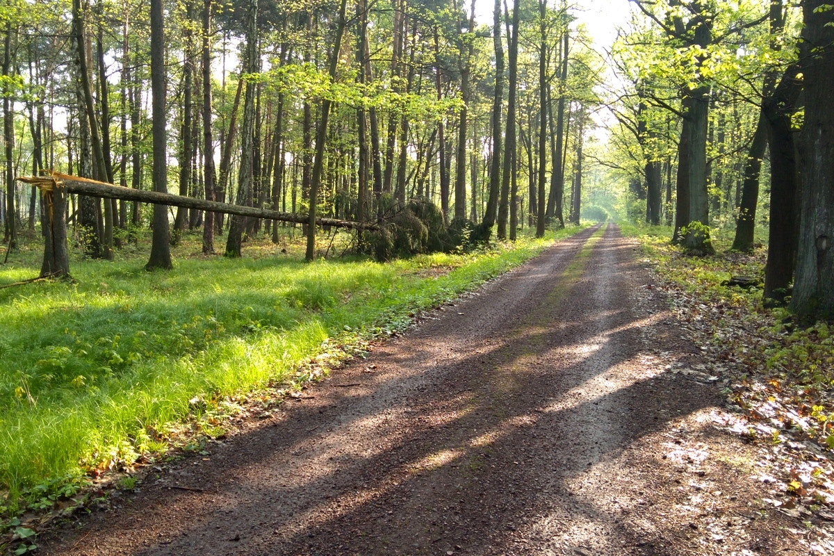 dokąd chcesz dotrzeć droga do celu
