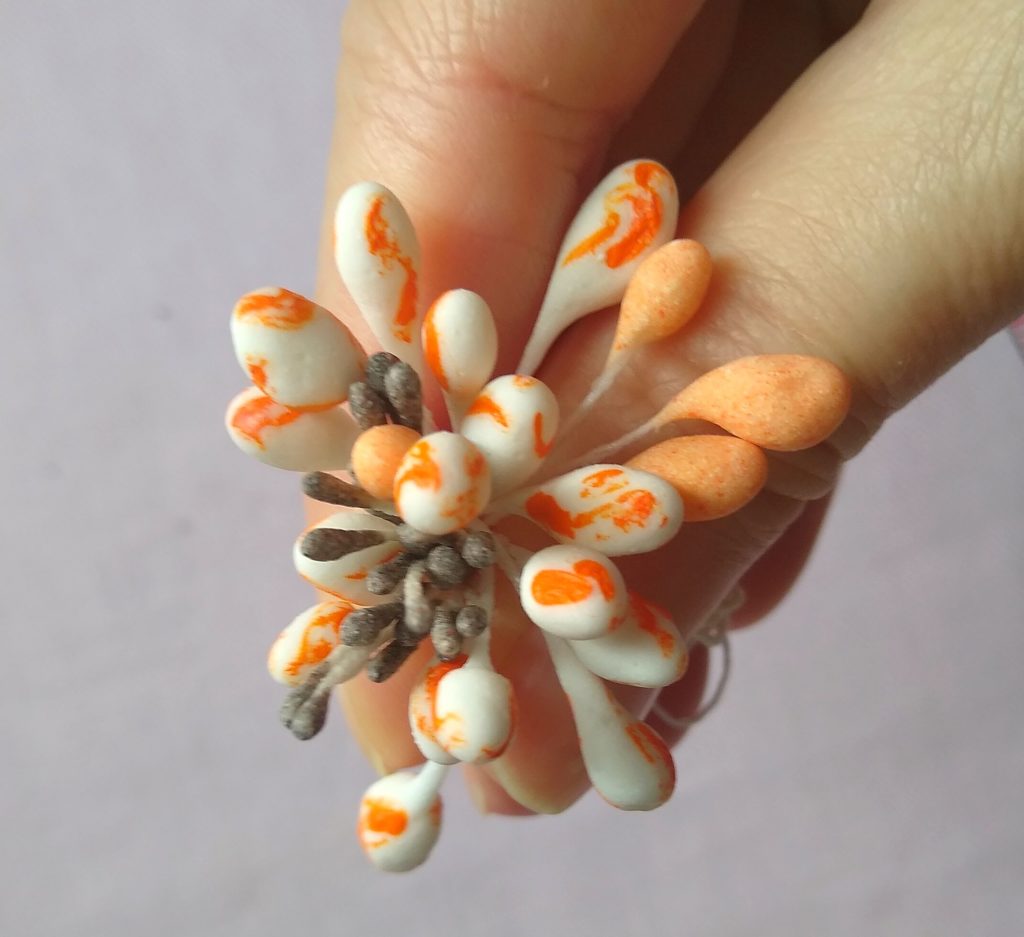 pręciki dwukolorowe