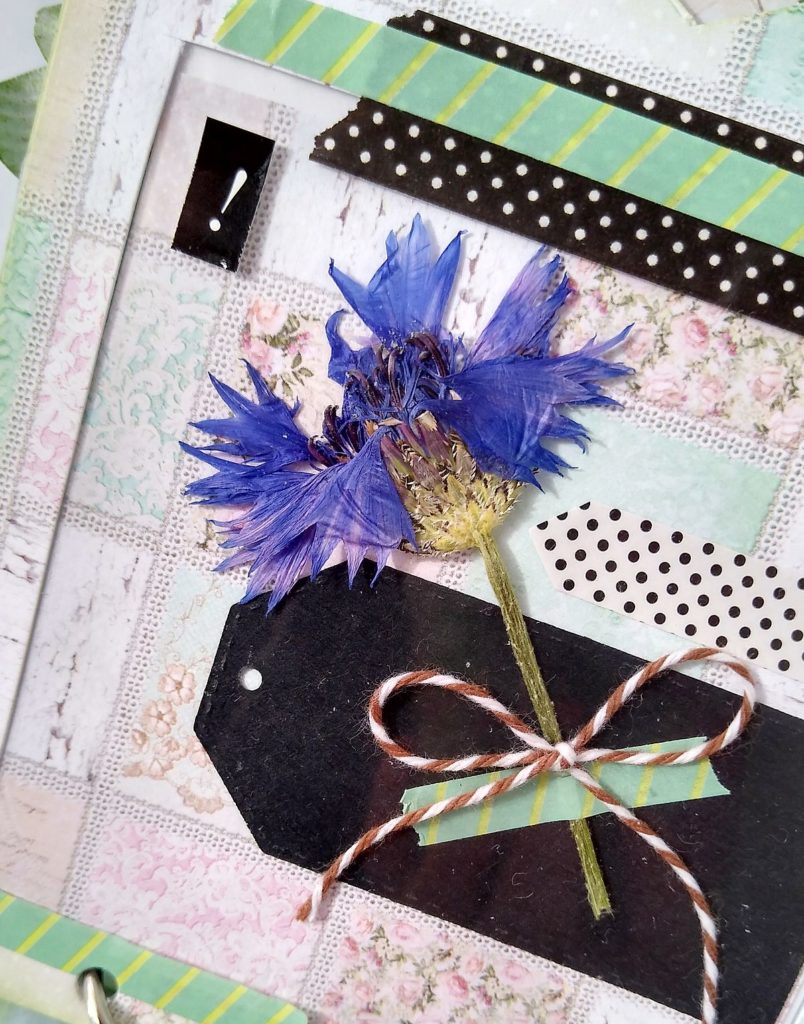 strona albumiku z suszonym kwiatkiem